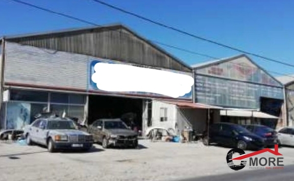 286379039_1135175750609813_2228950159541020400_n