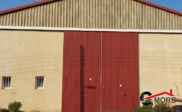 289602901_601106121375170_5841227381267253475_n