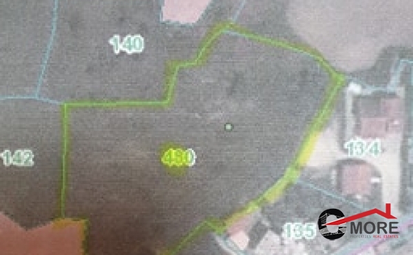 175191192_721539638542587_7176294907922641847_n