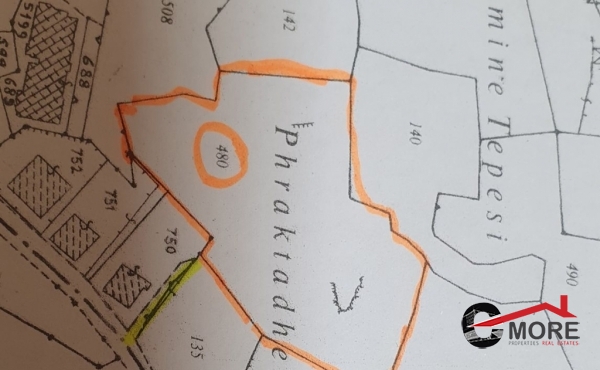 175969824_3406634569436351_5928130132125221458_n