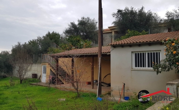 325883764_1931097387097497_960831729618490537_n