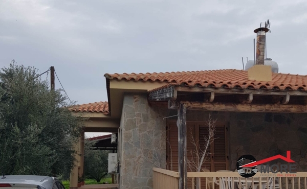 325923294_2835749086556026_55538282393283680_n