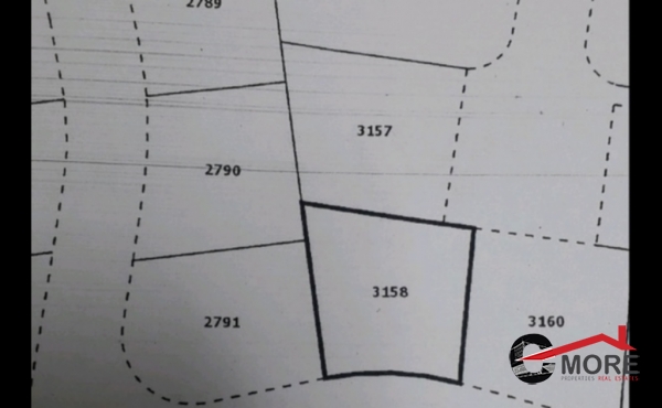 181139929_992888224579982_2720493726823790127_n