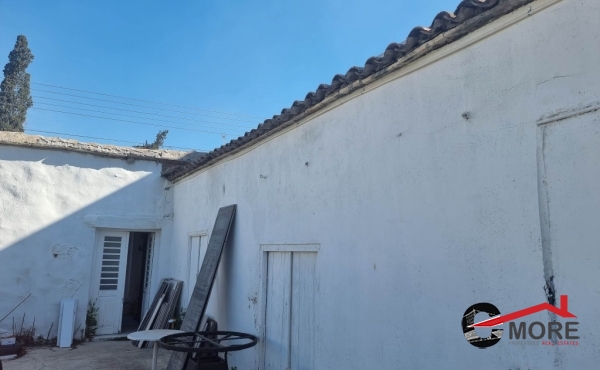 334928886_740040294440839_5085152242451610389_n