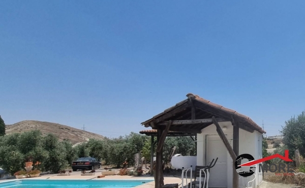 viber_image_2023-06-27_15-18-22-109