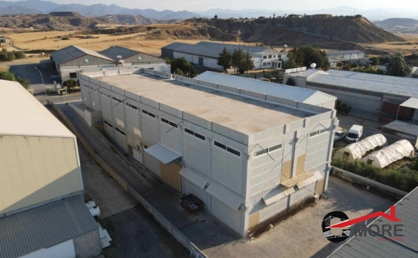 411458543_1287646148566656_4004217547091025641_n