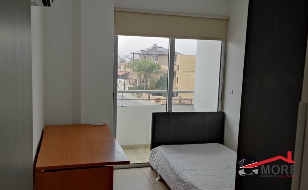 viber_image_2024-01-24_11-59-42-540