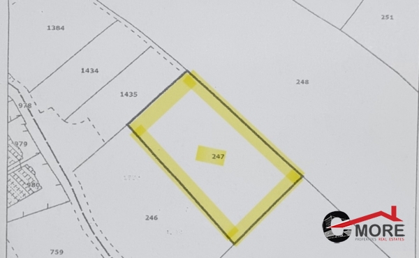 viber_image_2024-03-14_09-53-19-053