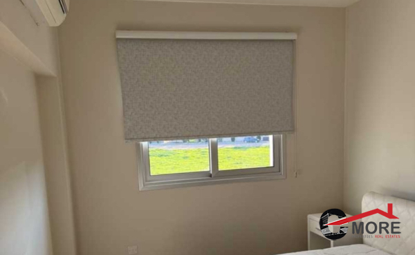 viber_image_2025-02-14_11-28-51-125