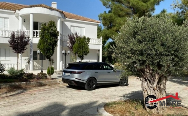 219082050_545385073378108_1298633160590885760_n