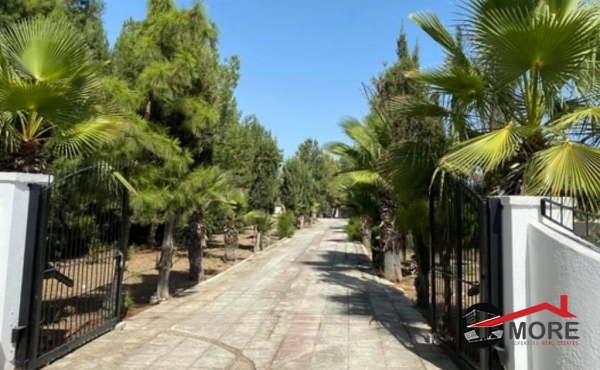 220252839_257799922457411_5247488918228921650_n