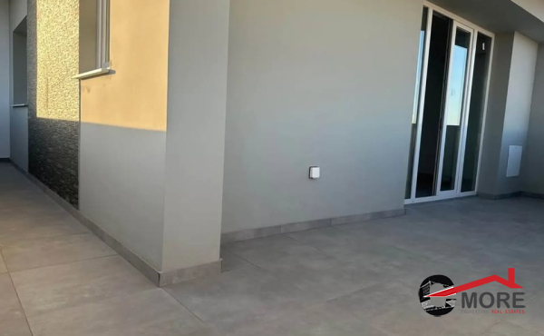 viber_image_2026-01-20_14-19-57-236