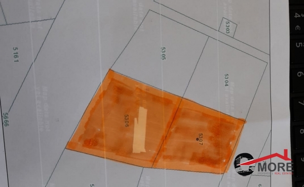 225493600_370260324598219_2365548611511348652_n