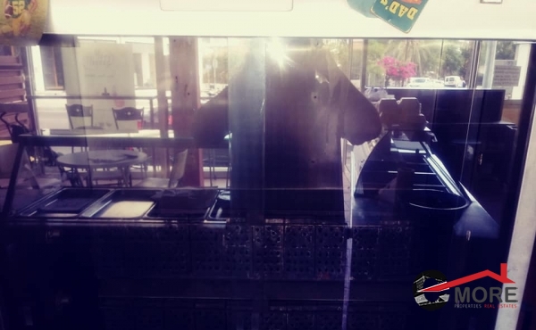 71025426_10211438986728945_988077580294815744_n