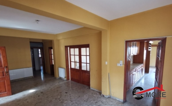 Στιγμιότυπο οθόνης 2022-02-28 223509