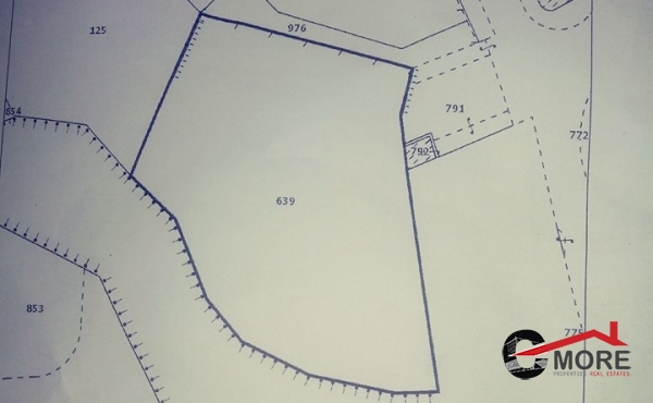 75285825_10211623791908959_1954893019480064000_n