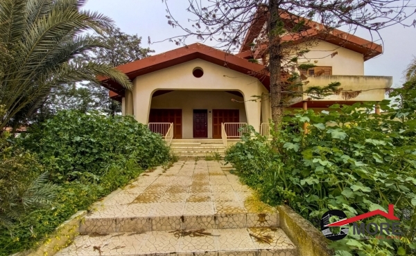 e32a721abe76377e908f2342867e4b9c