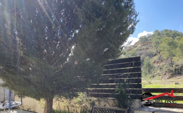 IMG-d8a56ea81dc71d5087be7c9a33574cb3-V