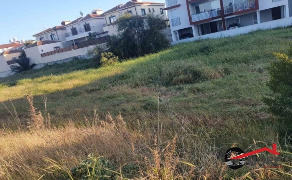 viber_image_2021-03-24_17-40-31