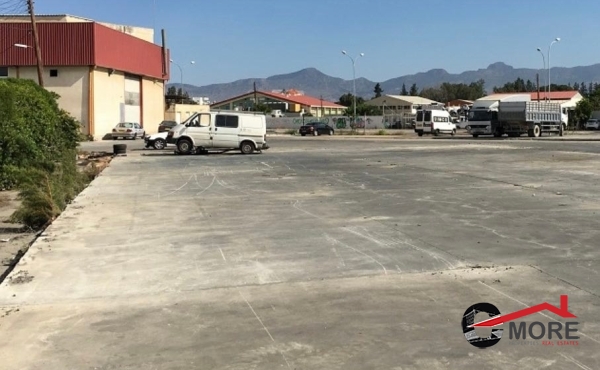 281292009_1428654687607307_3297542089617001712_n